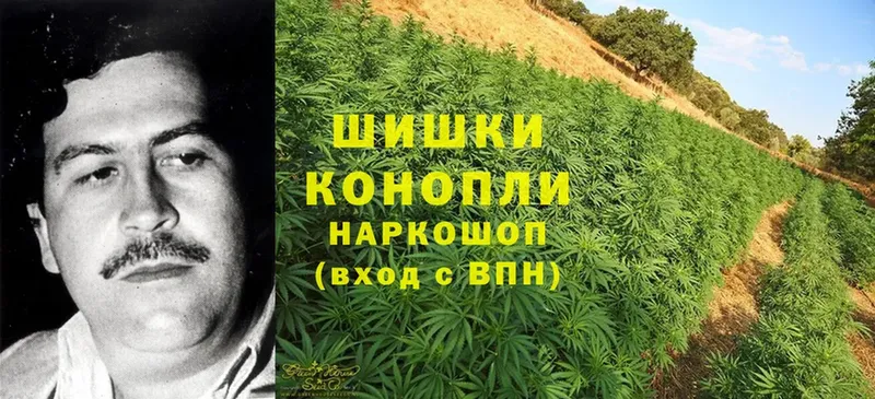 гидра маркетплейс  дарнет шоп  Новошахтинск  Бошки Шишки SATIVA & INDICA 